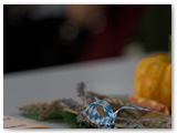 Herbsterenade